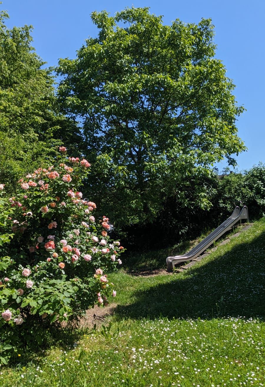 Garten des Kinder- und Familienzentrum Dillweißenstein in der Huchenfelder Str. 13
